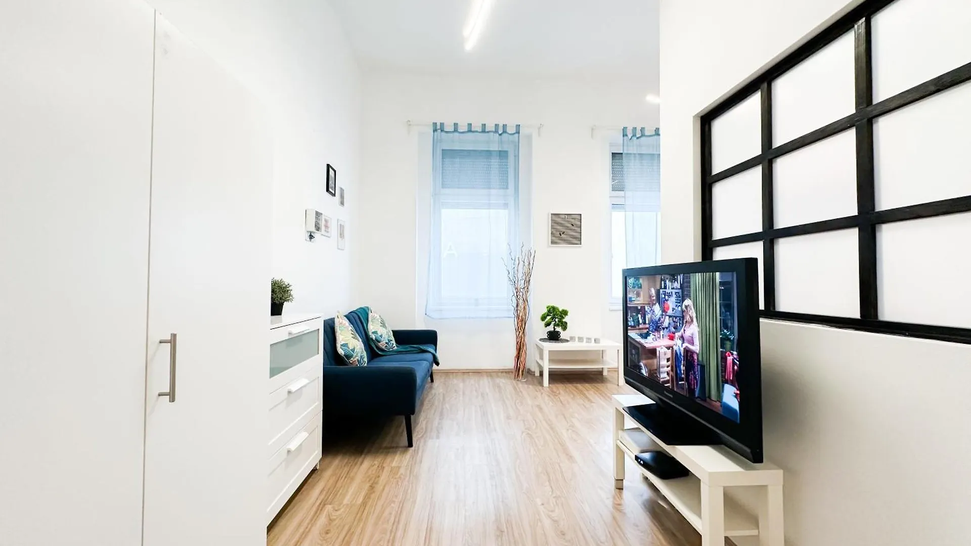Spacious Buda Apartment Air Conditioning Budapest
