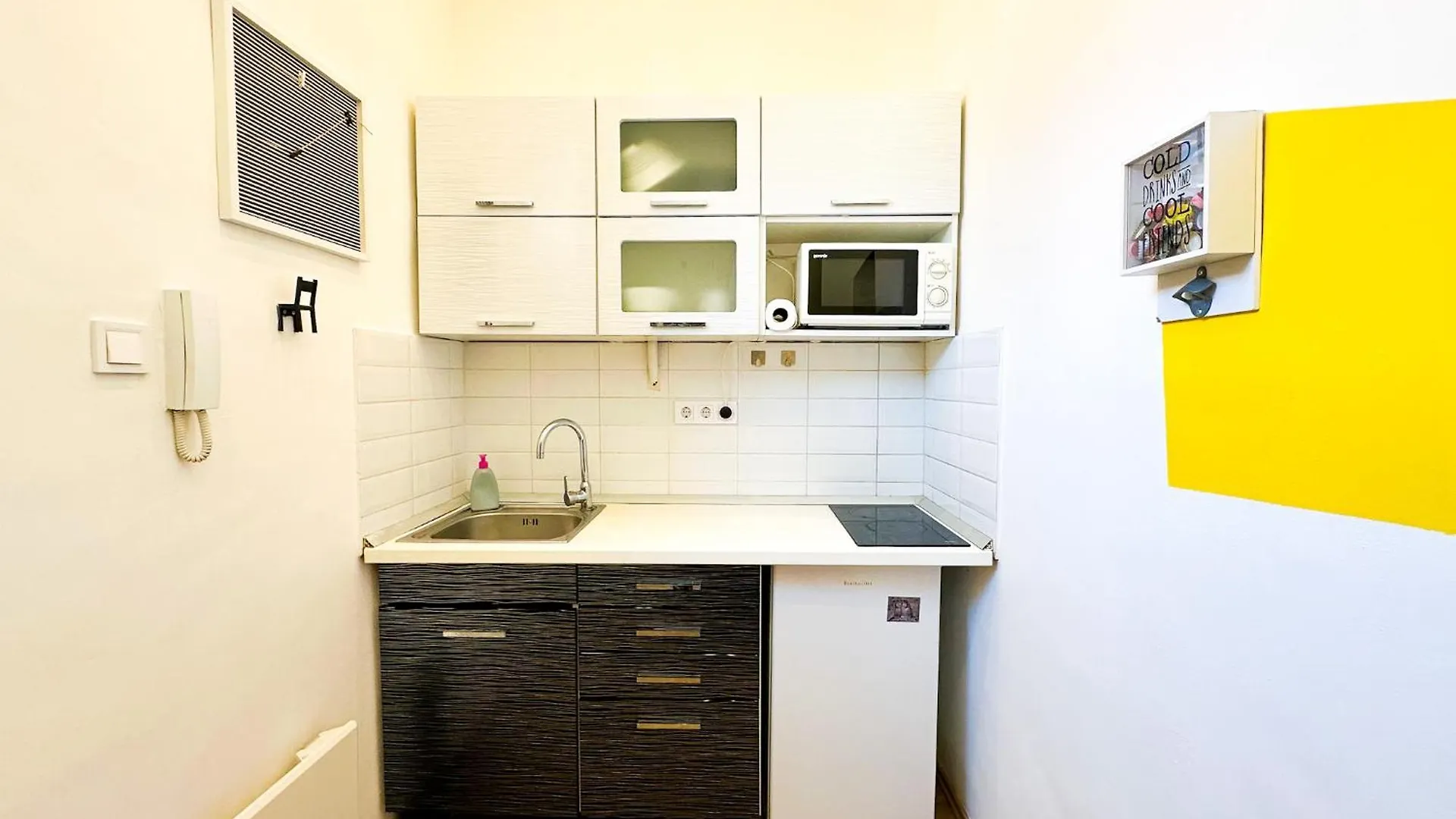 Spacious Buda Apartment Air Conditioning Budapest